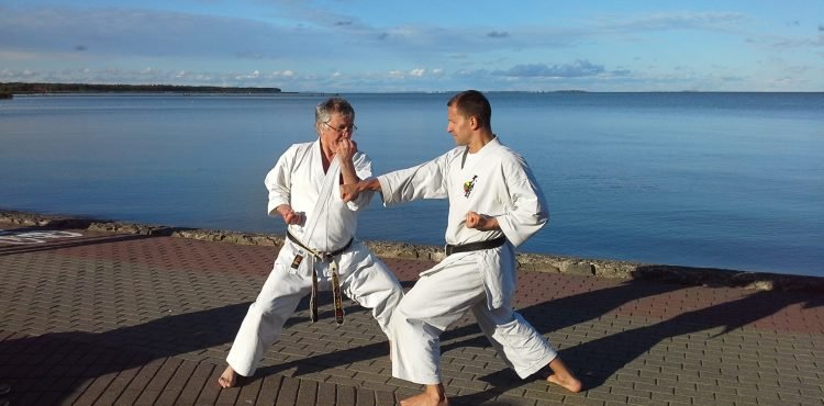 Karate Nida